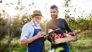 Two men, one older and one younger, are working together in an apple orchard. The older man is writing on a clipboard while the younger man holds a crate full of freshly picked apples, smiling as they discuss their harvest.